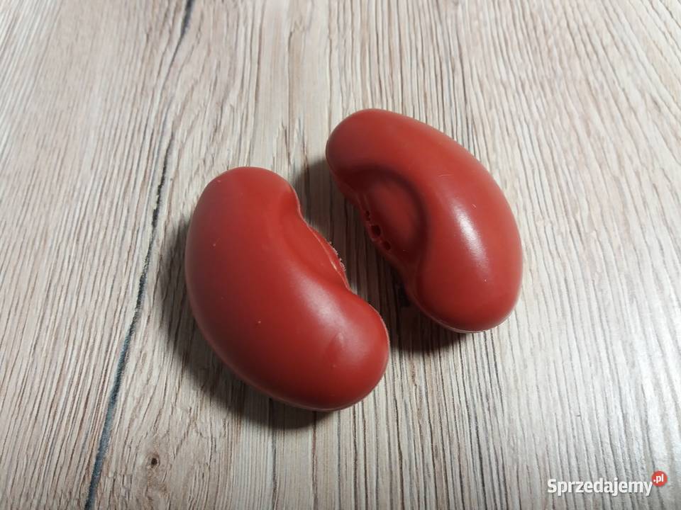 Tajemnice ludzkiego ciała kolekcja DeAgostini II Cieszyn