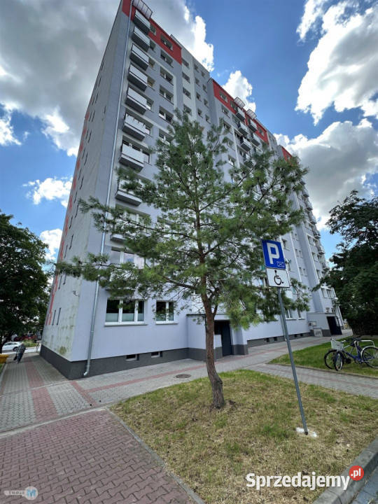 Mieszkanie Kielce 371 metrów 2pokojowe Liczba pokoi 2 Wynajem