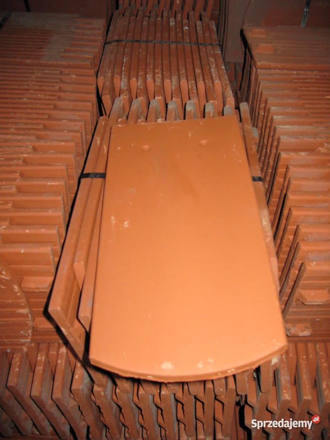 dachówka karpiówka Gorzów Wielkopolski