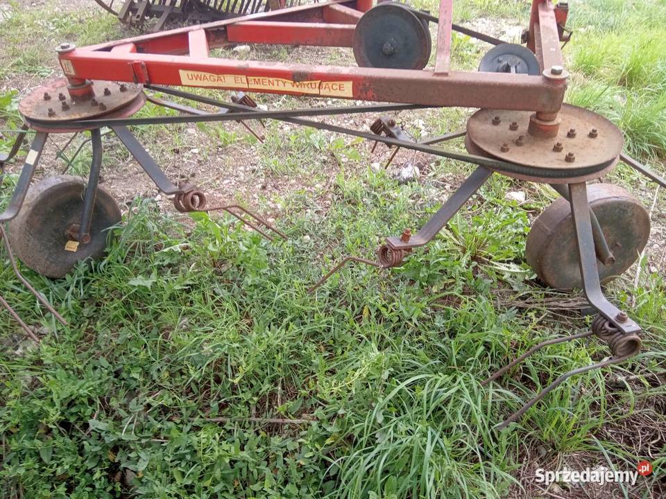 Pająk do siana Skała