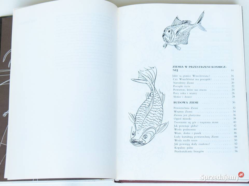 Larousse Ziemia Rośliny Zwierzęta Kraków