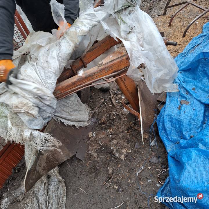 Pług dwuskibowy Grudziądz