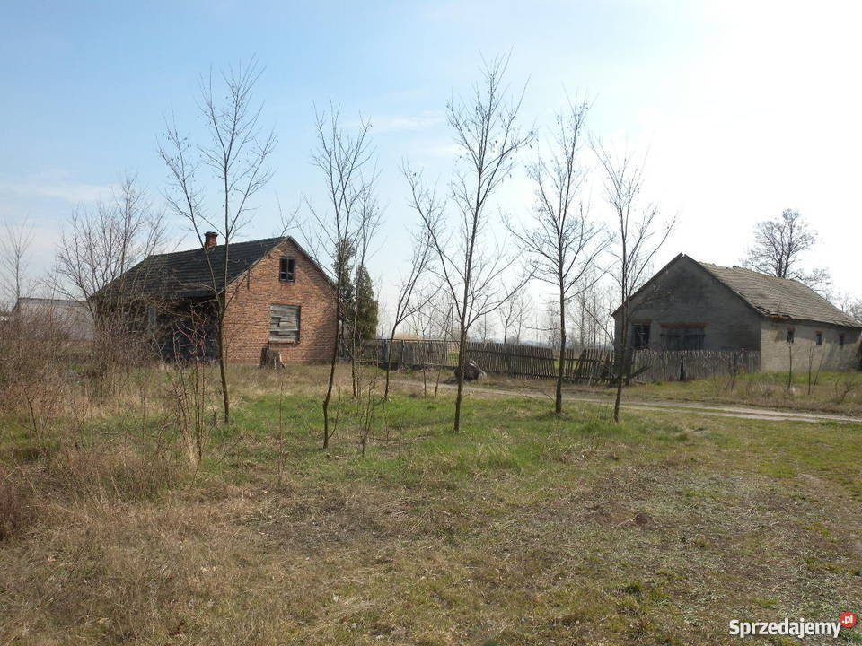 Sprzedam KozieniceChinów duża działkę Chinów sprzedam