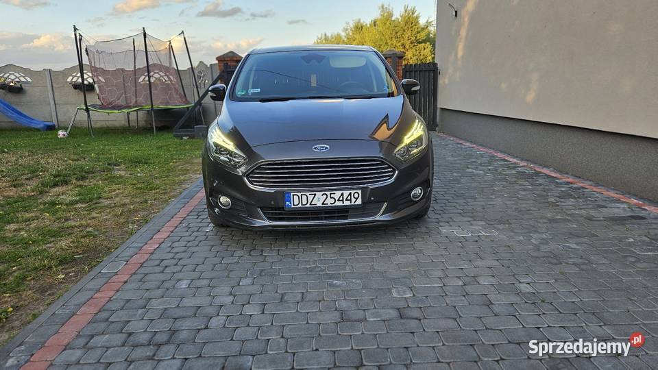Ford S 20 TDCI 180 Gubin