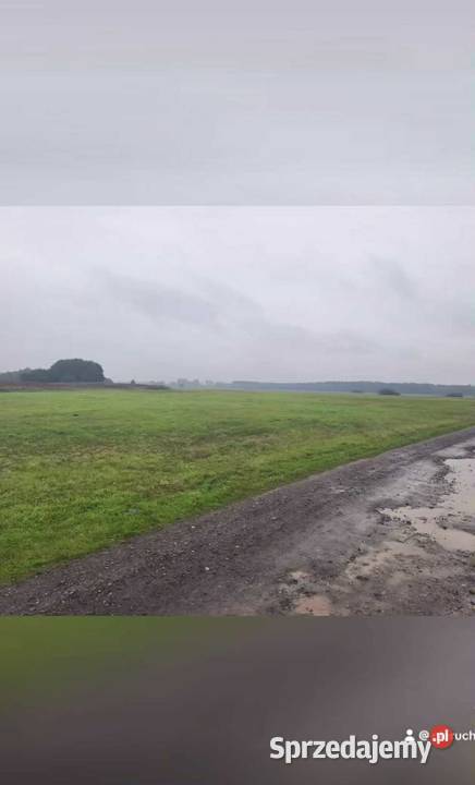 Dwie łąki na sprzedaż Lądek