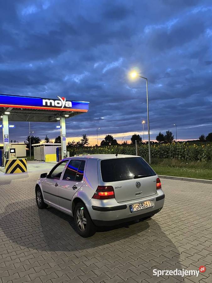 GOLF 4 19 TDI ALH manualna Gniezno sprzedam