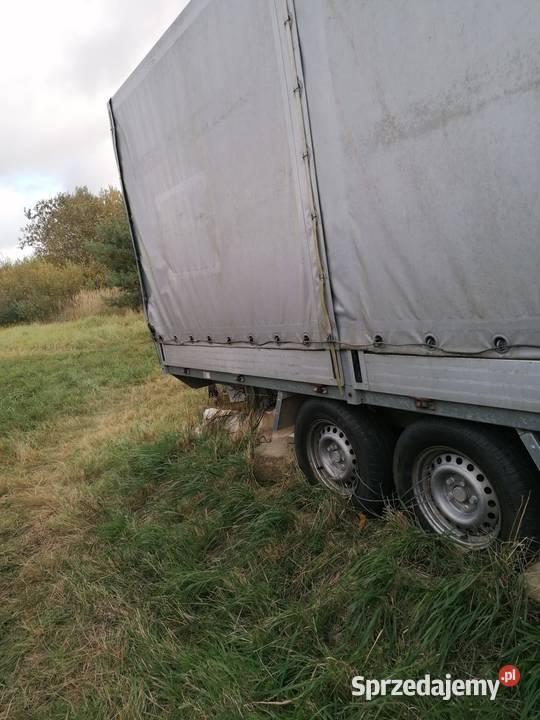 Przyczepa THULE TRAILERS DMC 2500 415180 m burtowe Trzebiatów sprzedam