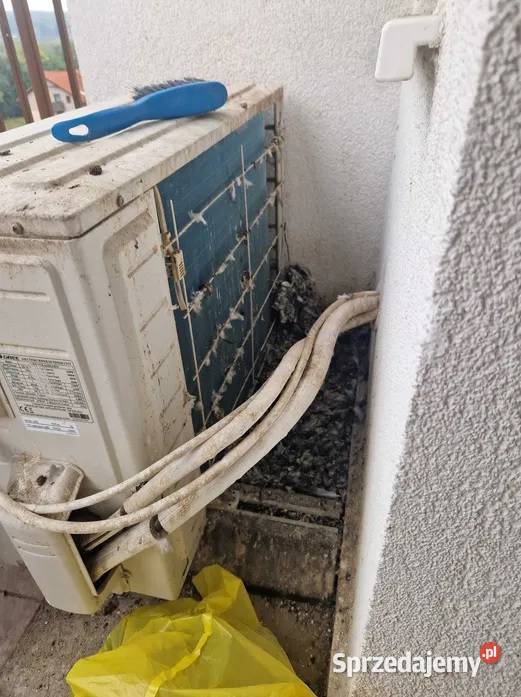 Montaż kolców przeciw gołębiom Ruda Śląska Pozostałe