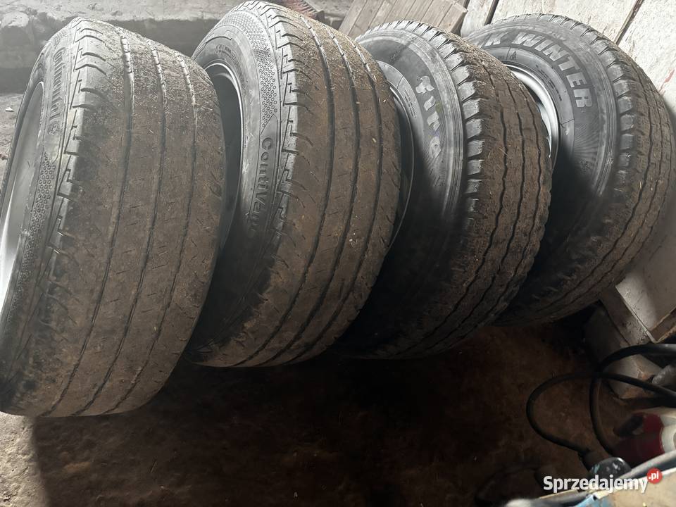 Koła Janów Lubelski