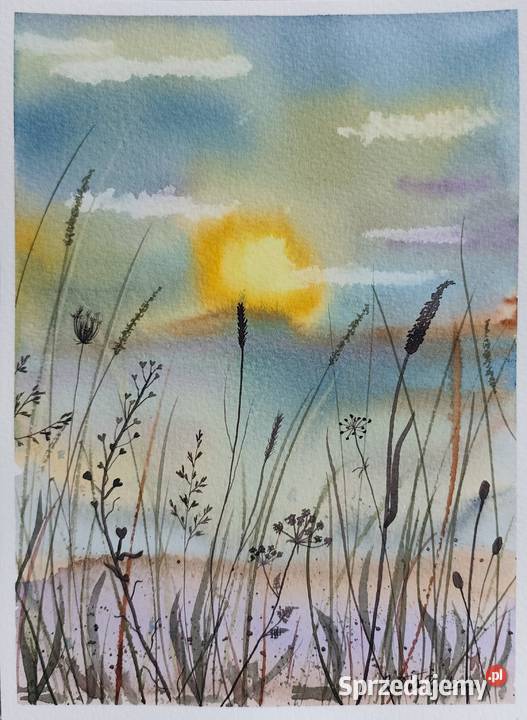 Akwarela Akwarelka Obraz pt Łąka Warszawa sprzedam