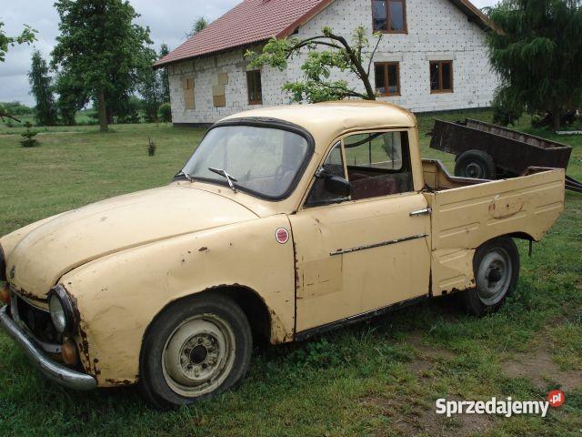 SYRENA R20