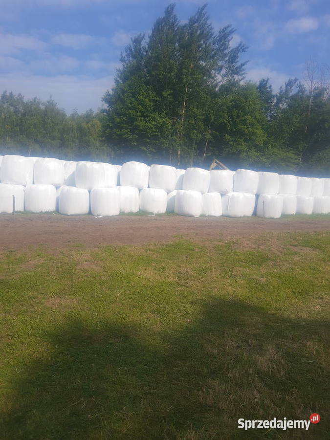 Baloty siano kiszonka Cewków