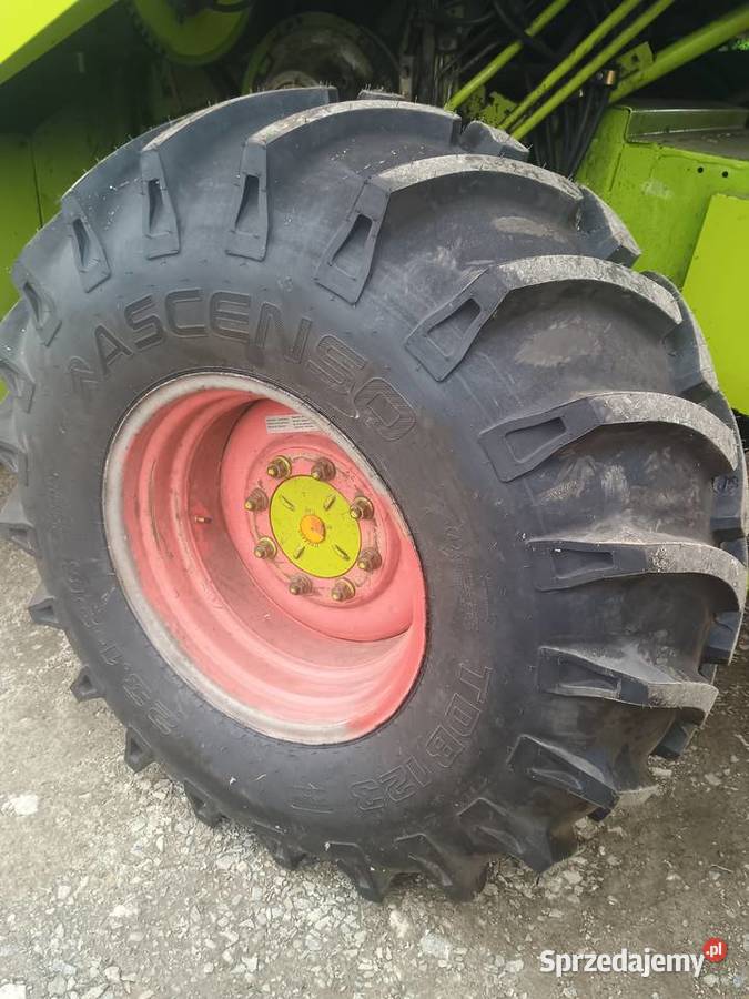 Claas Dominator 88s Boniewo