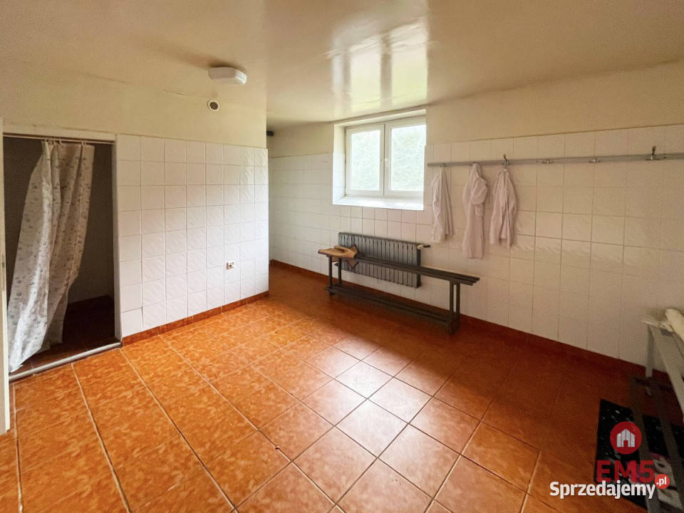 wynajmu lokalu Białystok 450m2 sprzedam