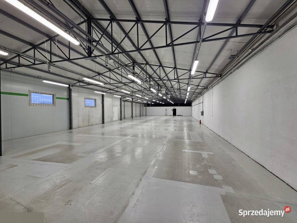 Do wynajęcia biura market magazyny 2502000 m2 klimatyzacja Olsztyn
