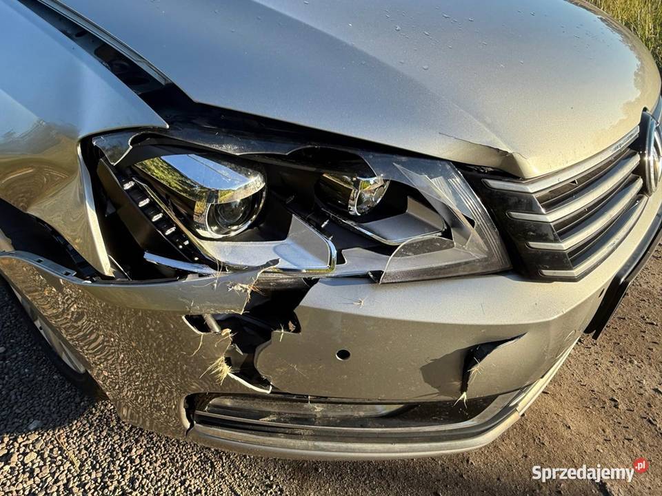 Volkswagen Passat 2014 20 TDI 140 Variant wielkopolskie