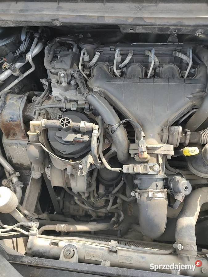 Peugeot 307 SW 20hdi 307 SW Konin sprzedam