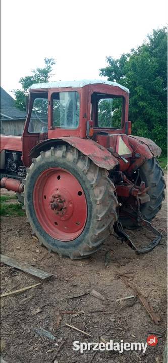 Mtz 82 52 Belarus Jumz Białoruś Ciągnik Rolniczy Skrzynia biegów Manualna Fałków sprzedam