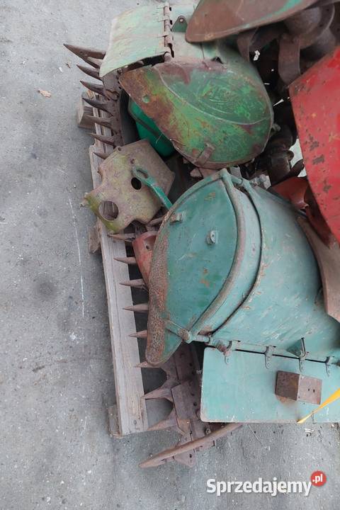 Glegogryzarki Agria pakiet 5 wielkopolskie