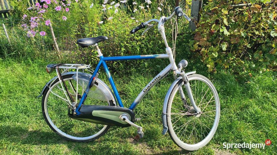 Batavus Gazelle Domasławice
