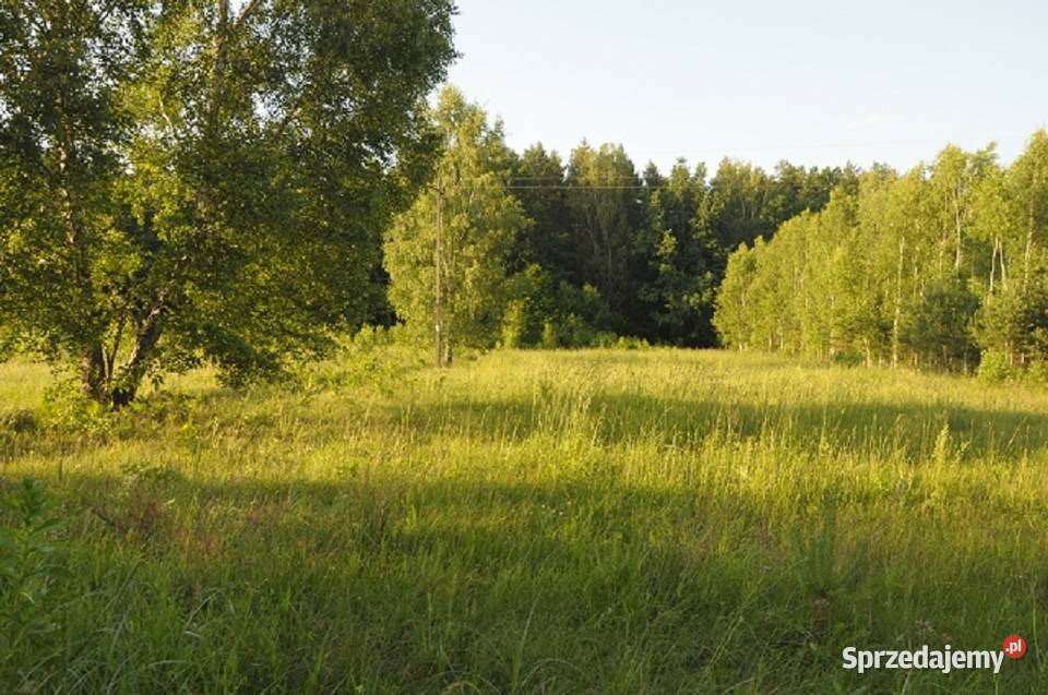 działkę rolnoleśną MIKŁASZEWO gmNAREWKA podlaskie Mikłaszewo