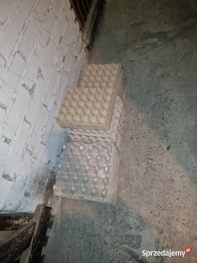 Wytłaczanki kobiałki na jajka Pabianice