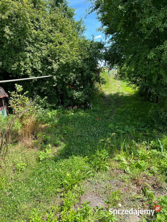 Dom Kobierzycko 6127m2 łódzkie