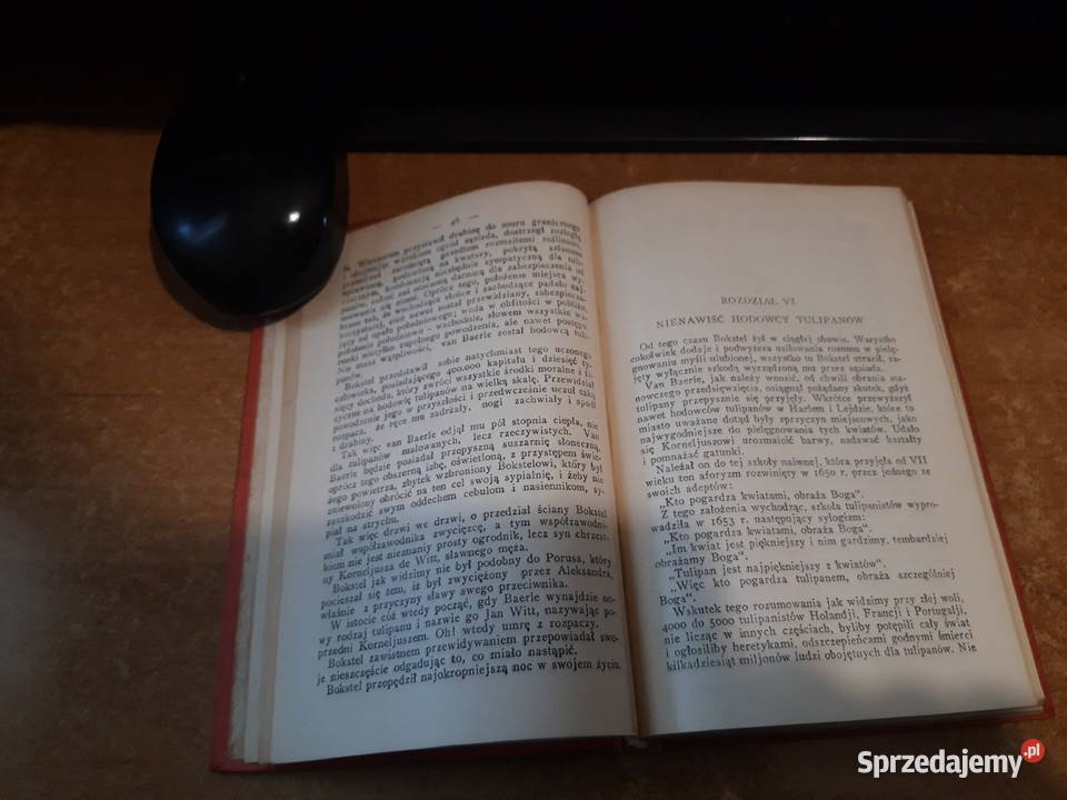 CZRNY TULIPAN DUMAS BIBLRODZINNA19928 OPR ilustr Iwno