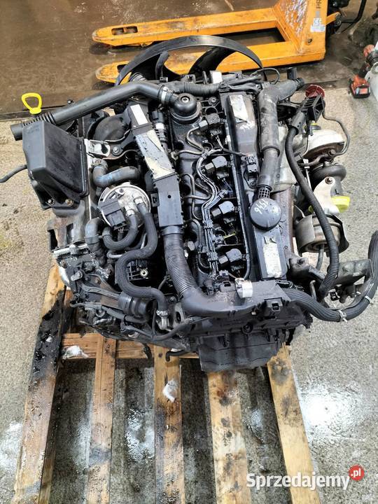 SILNIK KOMPLETNY DIESEL 651900 OM651900 22 CDI Silniki kompletne sprzedam