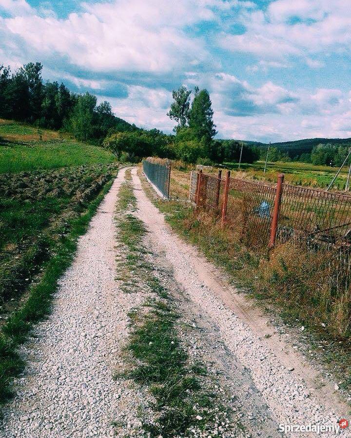 Sprzedam dom do remontu Bocheniec