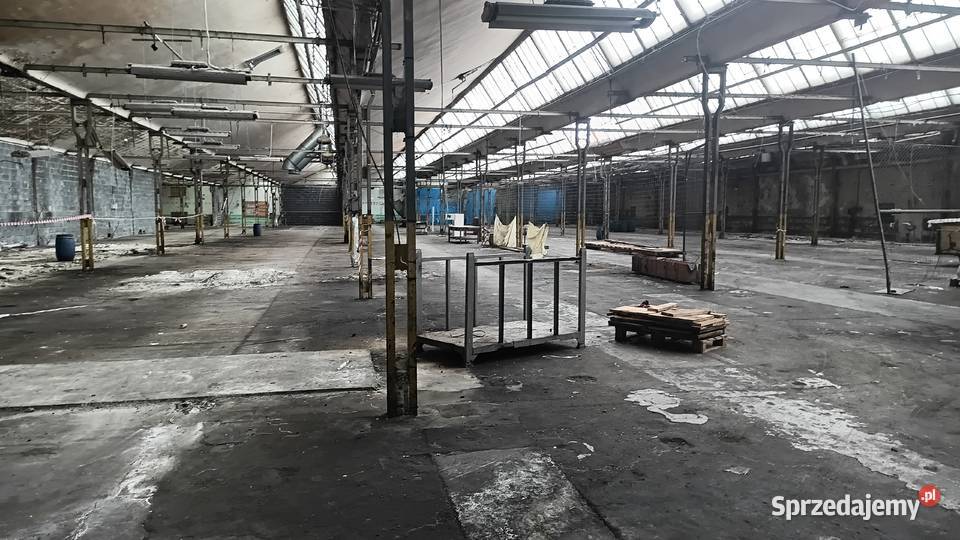 Syndyk sprzeda dwie hale produkcyjne biuro Kudowa-Zdrój sprzedam