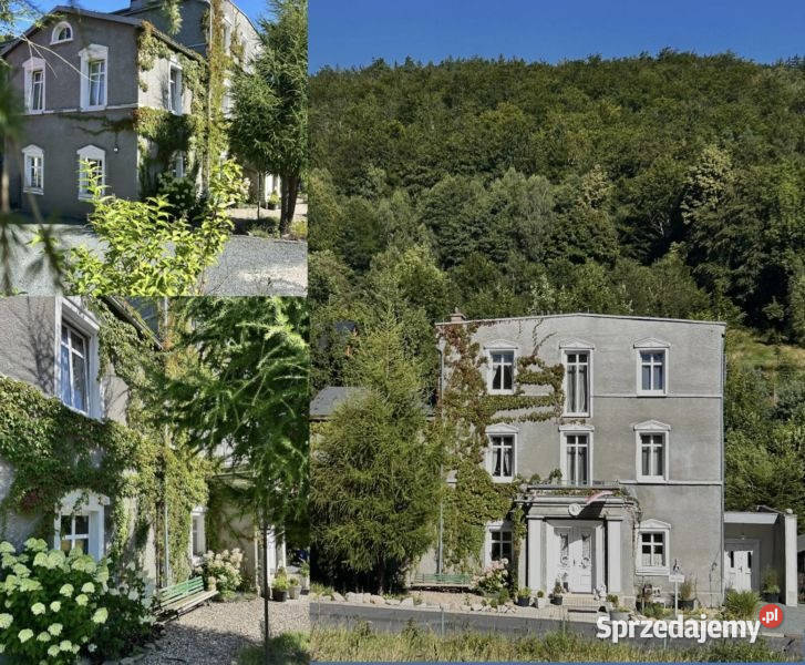 Bezpośrednio Jagniątków Pensjonat dom hotel dolnośląskie Jelenia Góra sprzedam
