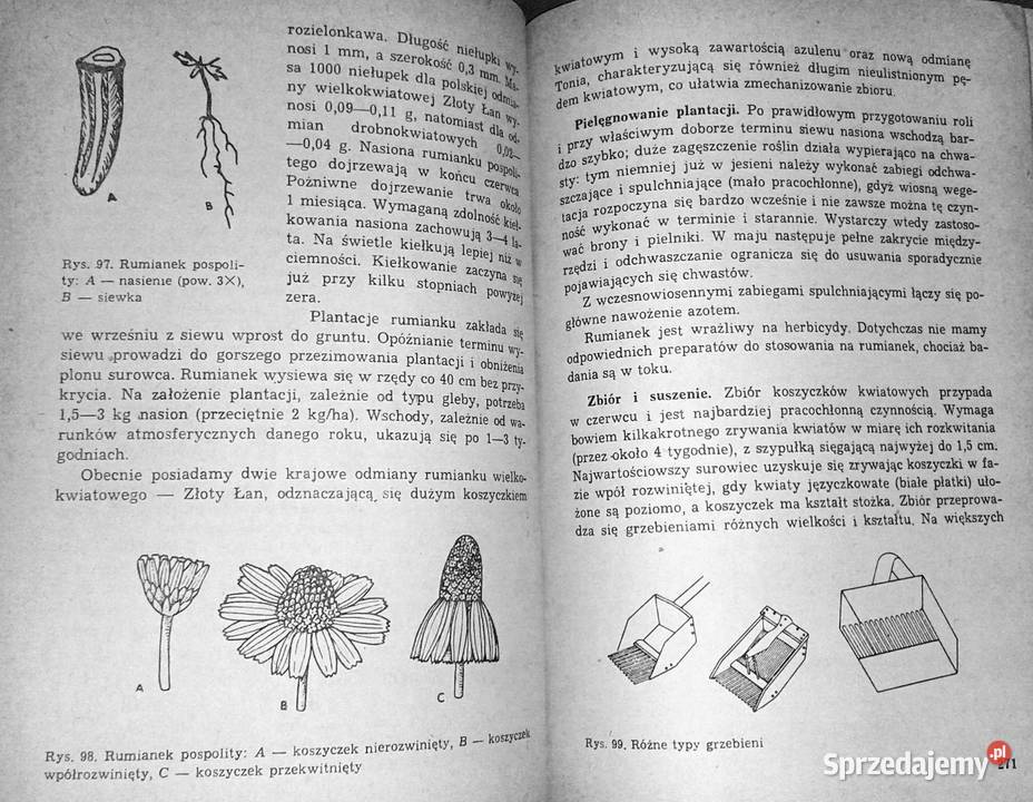 Poradnik plantatora ziół Antonina Chełm