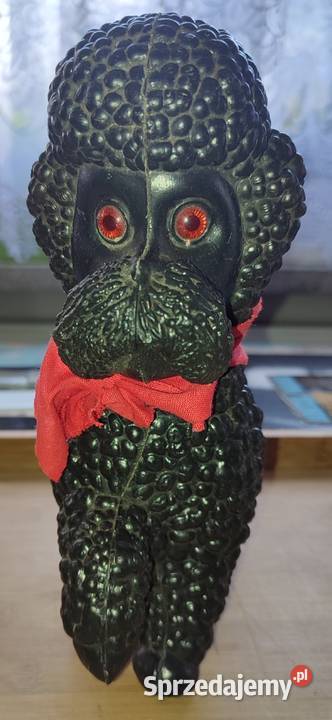 PRL pieski zozolki mazowieckie Warszawa sprzedam