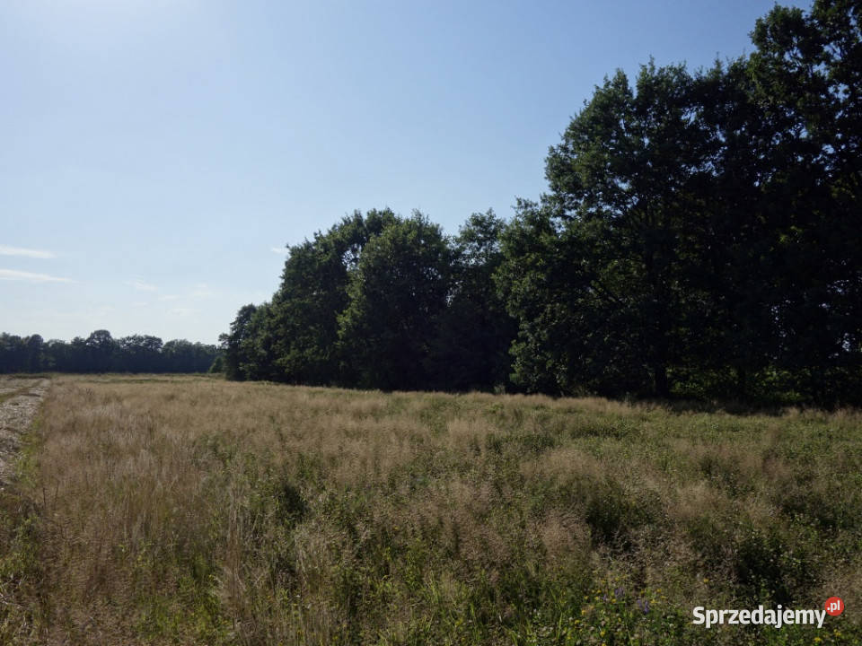 Skoczów Ochaby 57ar pod lasem widokowa pod Bielsko-Biała sprzedam