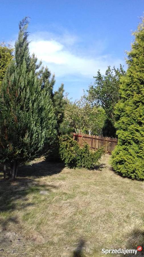 Sprzedam ogródek działkowy Płock