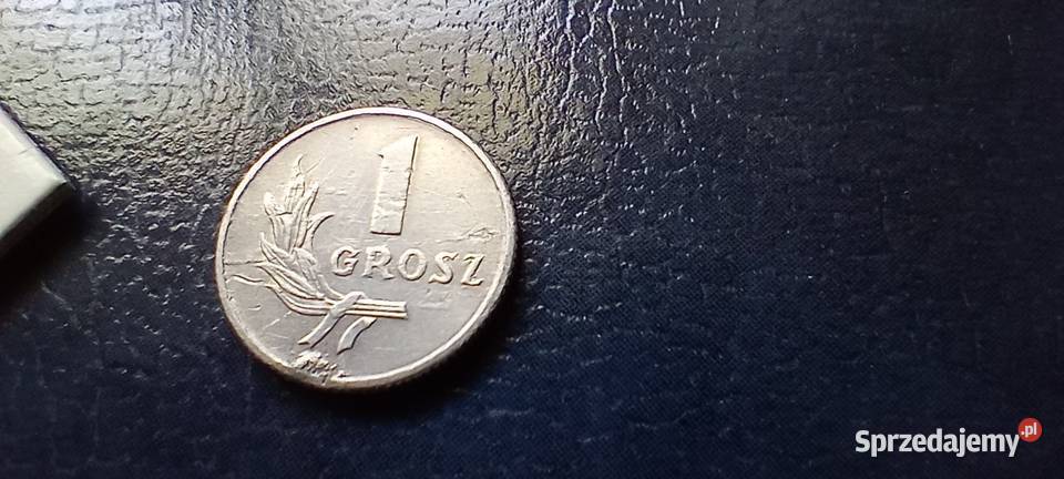 Stare monety 1 grosz 1949 PRL Polska destrukt podkarpackie