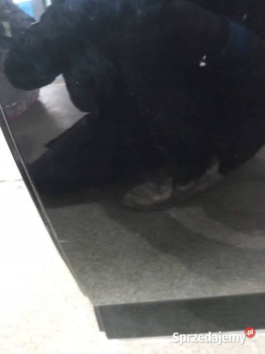 DRZWI LEWE TYŁ SEDAN TEGNE Renault Talisman I sprzedam