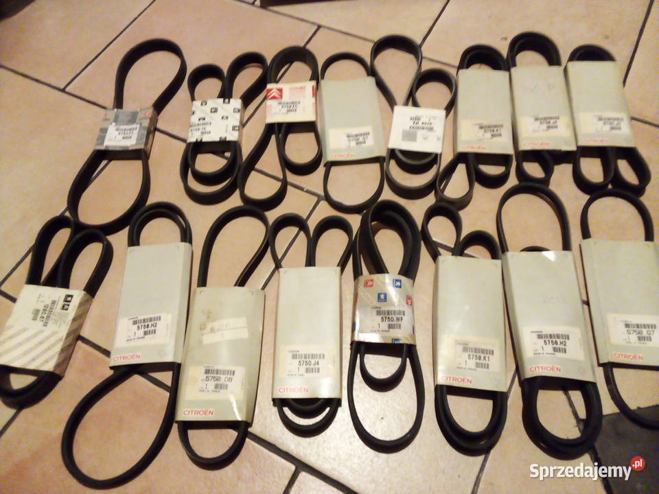 Pasek klinowy wielorowkowy CitroenPeugeot osobowe Silniki i osprzęt wielkopolskie Leszno