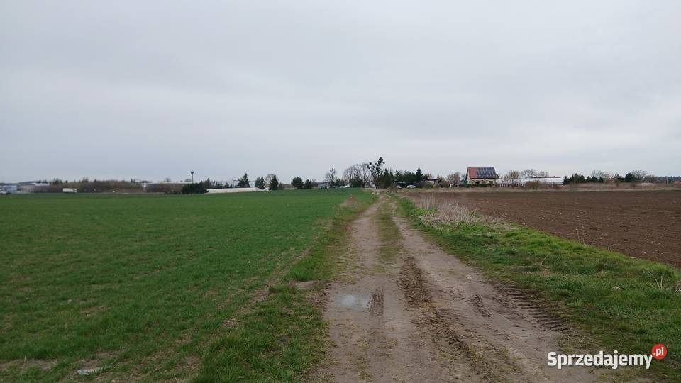 Dzialka rolna 22ary Błonie pow Średzki Krępice