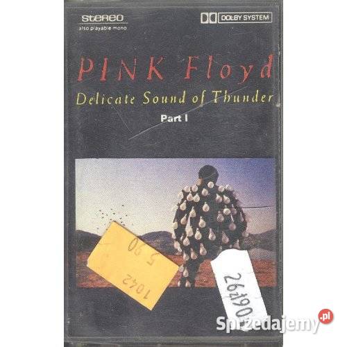 Pink Floyd Delicate Sound of Thunder Part I