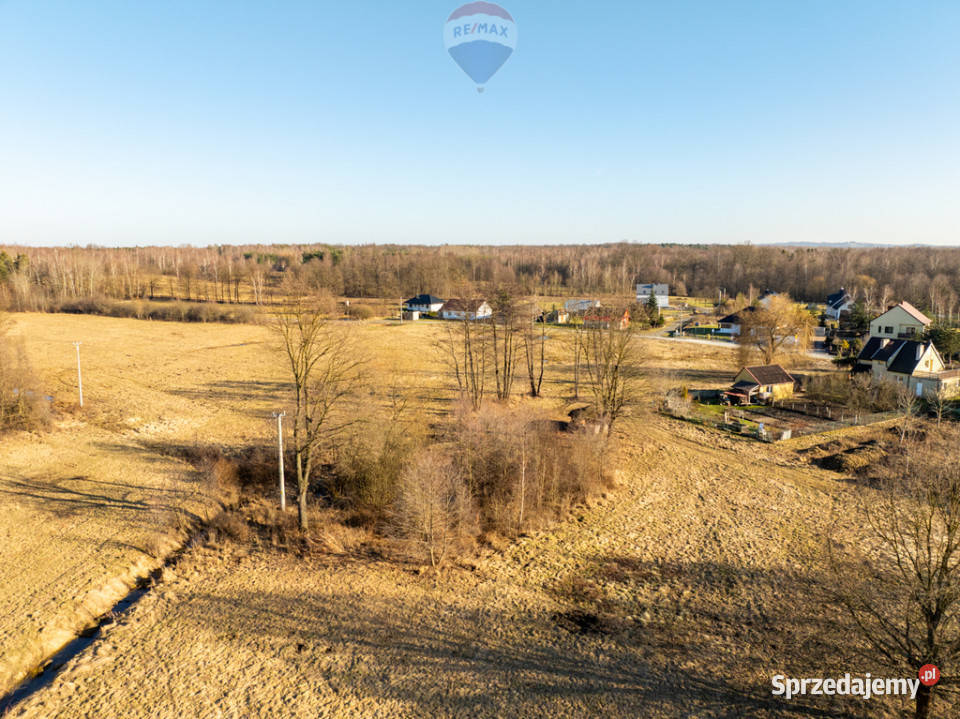 Działka budowlana Borek 895 ar Media