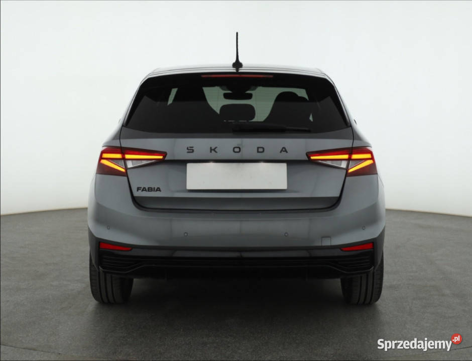 Skoda Fabia 10 TSI Škoda Piaseczno
