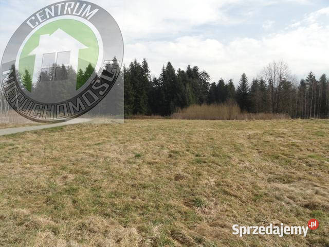 Grunt 3032 metry Paszyn sprzedam