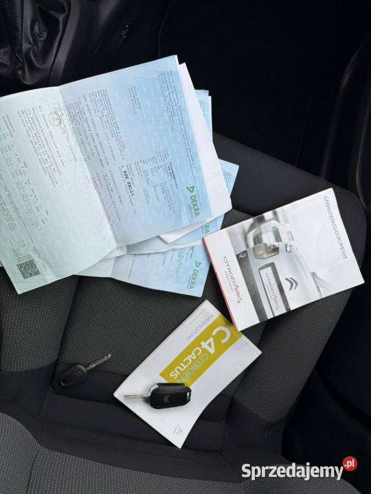 Citroen C4 Cactus super stanz Niemiec I 2014 elektryczne lusterka