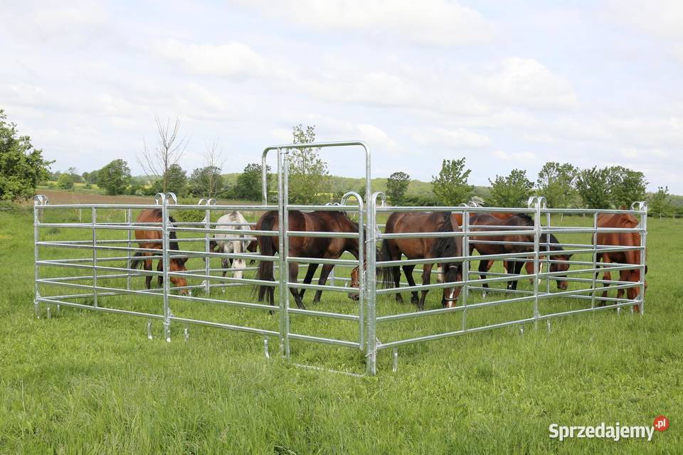 Lonżownik koni menaż lonżownik ocynk ogniowy Krzywiń