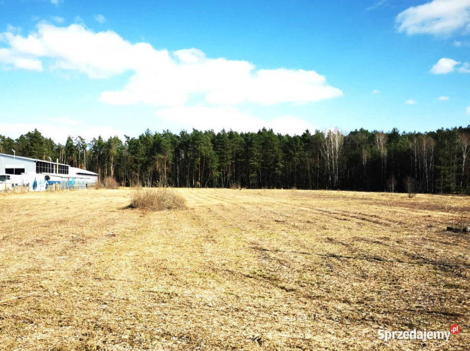 sprzedaży gruntu 2307m2 Głusko DużeKolonia Głusko Duże-Kolonia