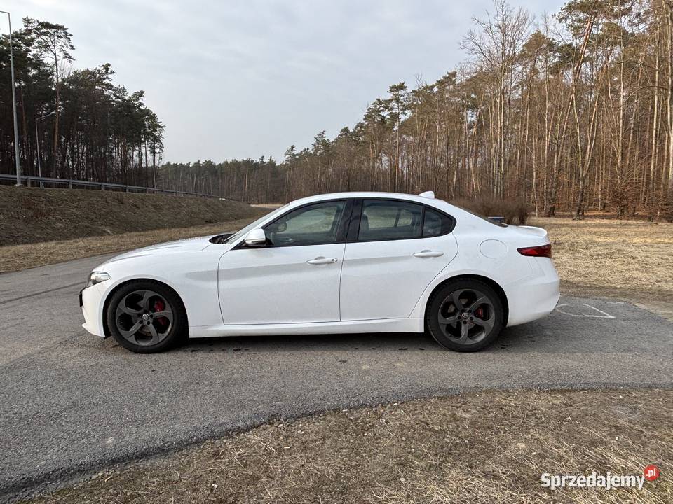Alfa Romeo Giulia 22 JTD 180 Polski Salon Leżajsk