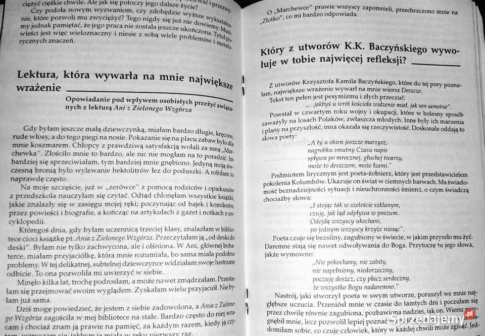 Wypracowania kl 8 Szkoła podstawowa Bogumiła lubelskie Chełm