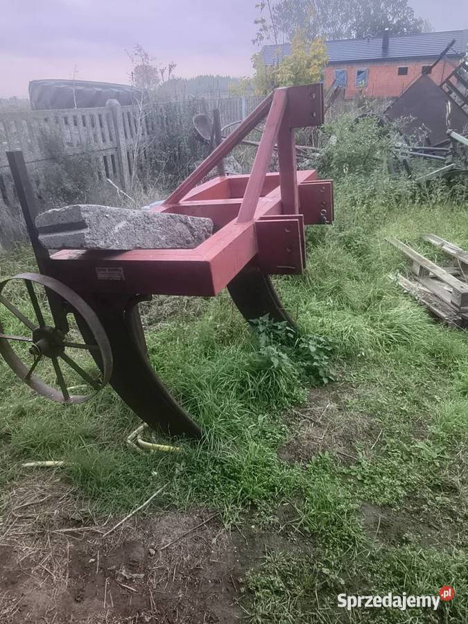 Głębosz Mamut solidny Łubno